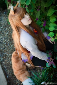holo spice and wolf cosplay