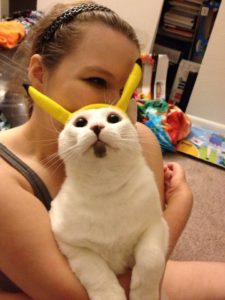 Pikachucat