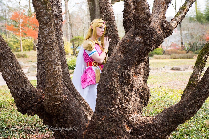 Princess-Zelda- Link-Between- Worlds-3