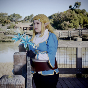 Zelda cosplay wig